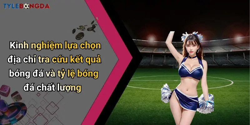 Kinh nghiệm lựa chọn địa chỉ tra cứu kết quả bóng đá và tỷ lệ bóng đá chất lượng