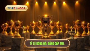 Manchester United đã vô địch bao nhiêu lần? Thống kê chi tiết nhất