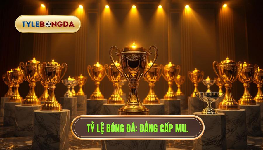 Manchester United đã vô địch bao nhiêu lần? Thống kê chi tiết nhất